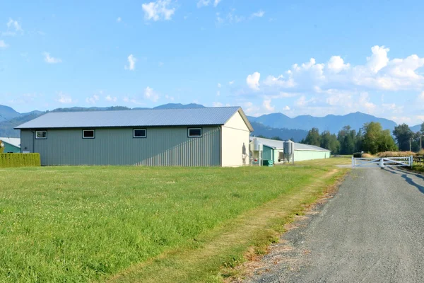 Wide View Various Farm Buildings Driveway Leading Buildings — Stock Photo, Image