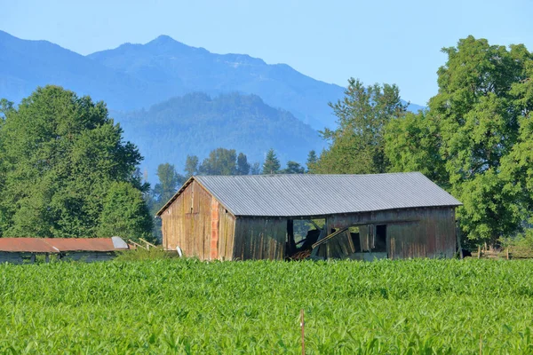 Pohled Zblízka Starou Farmu Obklopenou Horami Letními Kukuřičnými Poli — Stock fotografie