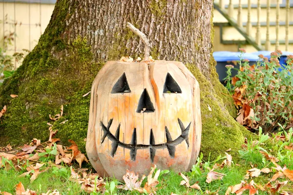 Ghoulish Looking Pumpkin Wicked Grin Sits Tree Waiting Young Halloween — Stock Photo, Image