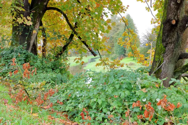 Pohled Přes Podzimní Stromy Kde Potok Vine Zalesněnou Oblastí — Stock fotografie