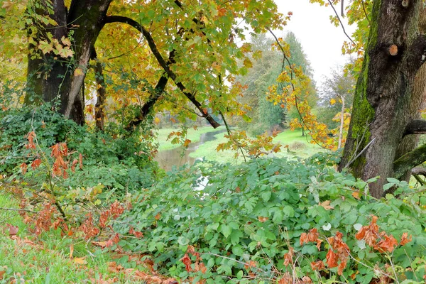 Vue Travers Les Arbres Automne Ruisseau Serpente Travers Zone Boisée — Photo