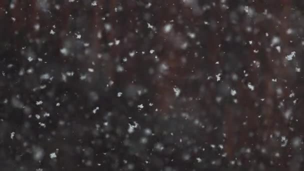 Caída de nieve — Vídeo de stock