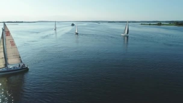 Segelbåtar Vattnet Jylland Danmark — Stockvideo