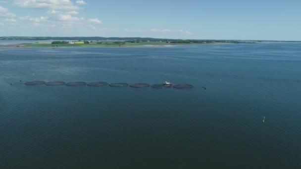 Drone över fiskodling — Stockvideo