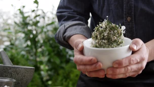 Chef mélangeant des herbes — Video