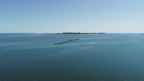 丹麦日德兰半岛的鱼养殖场网 — 图库视频影像