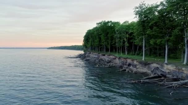 Jutland kustnära skog — Stockvideo