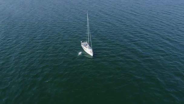 Отдыхающие, плавающие рядом с яхтой — стоковое видео