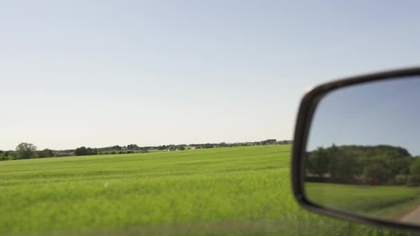 Car view passing field — Stock Video