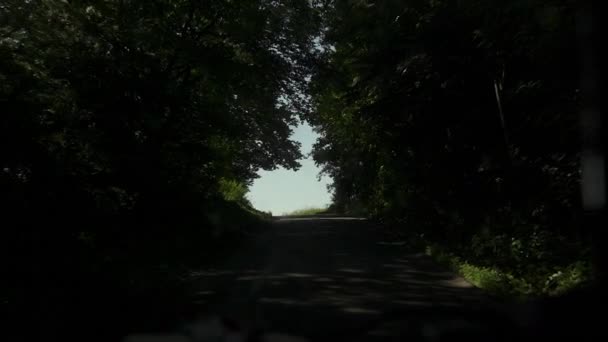 Движение по проложенной деревьями дороге — стоковое видео
