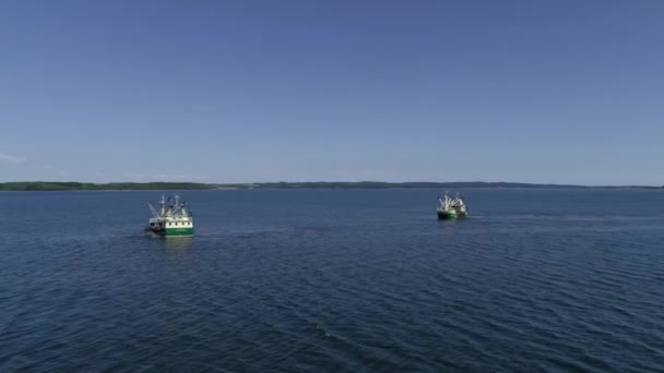 Trawlers van de visserij op zee — Stockvideo