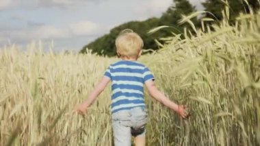 Buğday ile çalışan çocuk