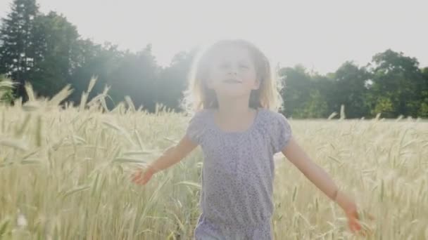 Letní dívka pole běží — Stock video