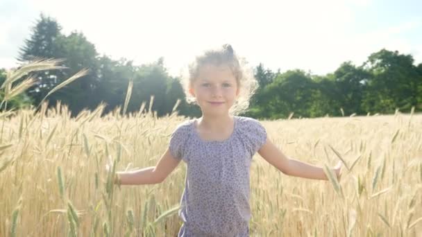 Chica de verano en el campo — Vídeos de Stock