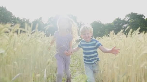 Hermano y hermana en el campo — Vídeos de Stock