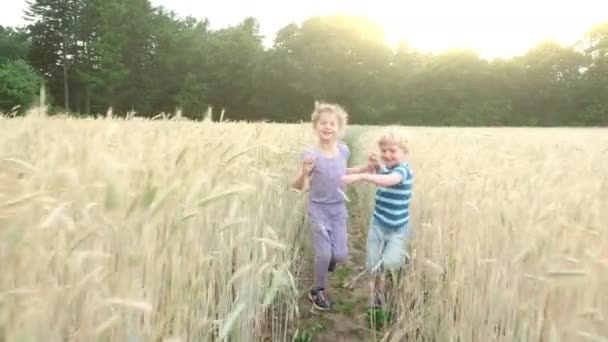 Hermano y hermana en el campo — Vídeo de stock