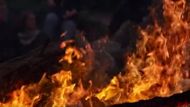 Flăcări de foc de tabără Arzând noaptea, de aproape — Videoclip de stoc
