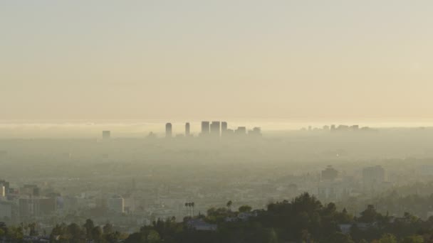 Silueta de los edificios de Los Ángeles en un día nublado, Vista aérea, Luz del día — Vídeos de Stock