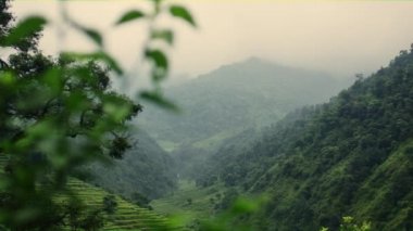 Nepal pirinç terasları vadiyi kapsayan sis ile bir resim mükemmel görünüm.