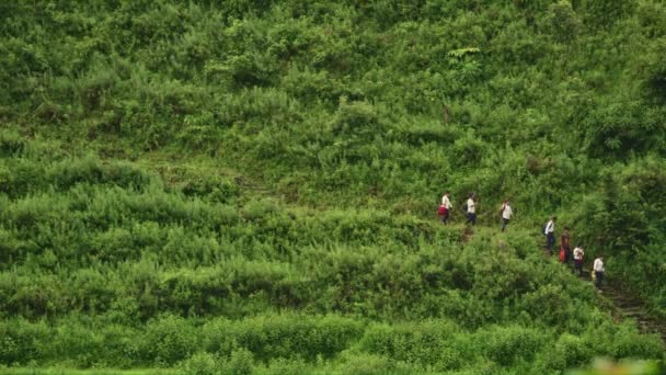 Sete Homens Estão Caminhando Através Uma Trilha Floresta Nepal Partir — Vídeo de Stock