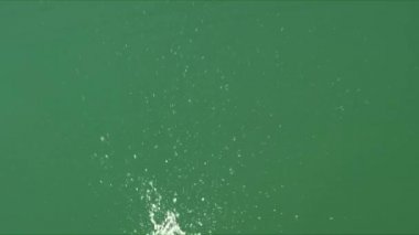 Küçük bir tohum küçük bir sıçrama oluşturma suya düştü.