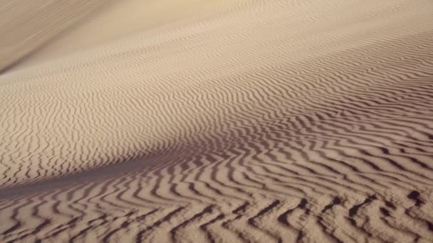 Foto Ravvicinata Del Vento Che Soffia Sabbia Sulle Dune Sabbia — Video Stock