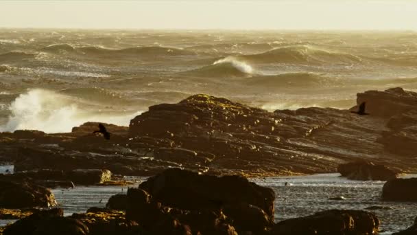 Een Uitzicht Kustlijn Als Golven Raakt Grote Rotsen — Stockvideo