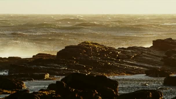 Blick Auf Das Meer Und Wellen Die Auf Die Felsen — Stockvideo