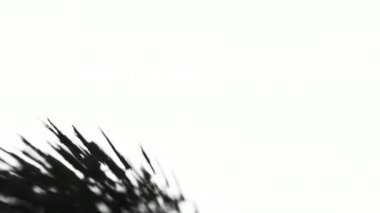 Manyetik Demir tozu deney kabuk.