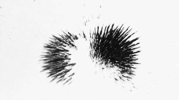 Μορφές μοτίβο ράβδωση από μια παρτίδα σφραγίσματα σίδηρος και ένα πείραμα μαγνήτη — Αρχείο Βίντεο