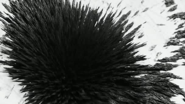 Pyłu żelaza reaguje na magnes — Wideo stockowe
