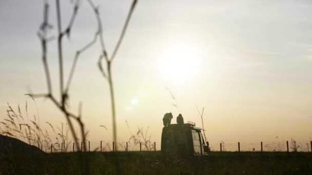 Men Sitting Top Field Field While Watching Setting Sun — Stock Video