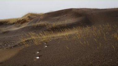 Panoramik manzaralı bir eğe Snowing süre