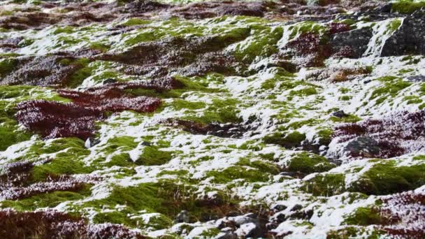 Pohled z horské oblasti vztahuje sníh na Islandu — Stock video