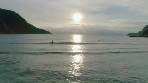 Εναέρια Άποψη Του Surfers Που Περιμένει Για Κύματα Κατά Ηλιοβασίλεμα — Αρχείο Βίντεο