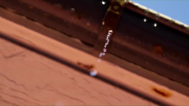 Worms View Water Continuously Dripping Pipe — Stock Video