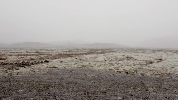 Paesaggio islandese lungo la strada — Video Stock