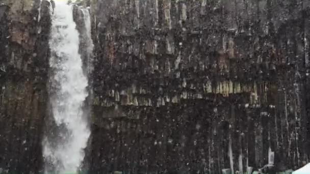 Svartifoss の滝、溶岩柱の美しいショット — ストック動画