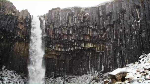 Las majestuosas columnas de cascada y lava de Svartifoss — Vídeos de Stock