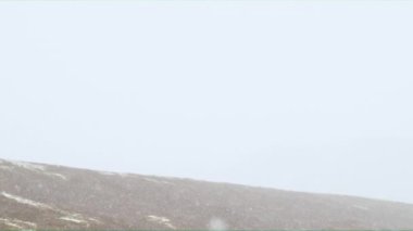 İzlanda'daki Svartifoss şelale kış görünümü.