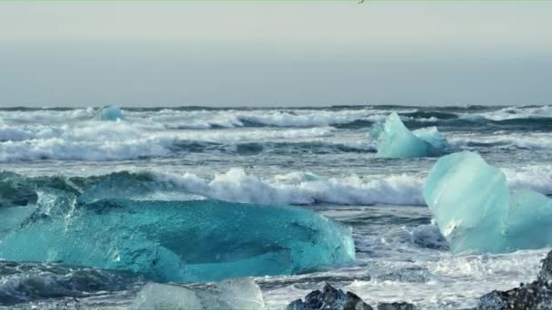 Små Block Isberg Flyter Diamond Beach Med Måsar Flyger Över — Stockvideo