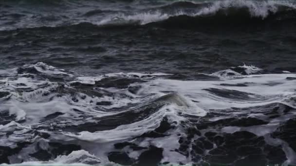 Seafoam vormen zoals in Black Beach. — Stockvideo