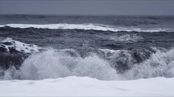 View of Strong Waves Crashing on Black Beach — Stock Video