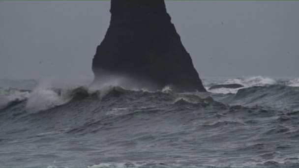 ブラック ビーチに大きな岩 — ストック動画