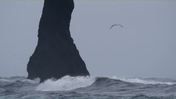 Vista do ponto turístico em Black Beach — Vídeo de Stock