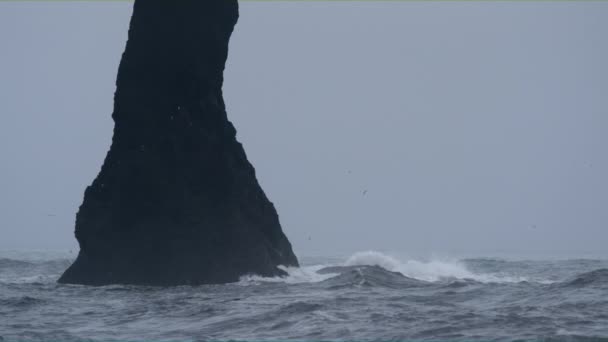 Picture Perfect Video of the Basalt Finger Rock, Iceland — Stock Video