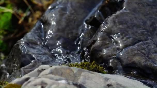 Vista Una Roca Granito Con Musgo Como Una Corriente Agua — Vídeos de Stock