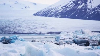 Buzulun ele kuşlar sinek gibi havadan görünümü