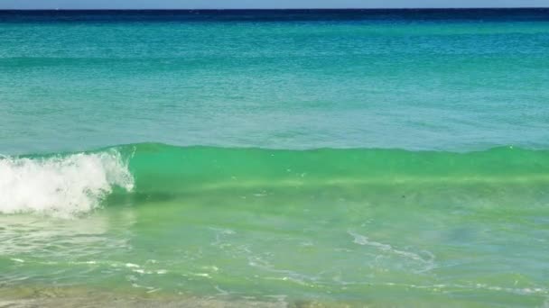 Фокусований Шлю Знімок Заспокійливих Хвиль Повертаються Берег — стокове відео