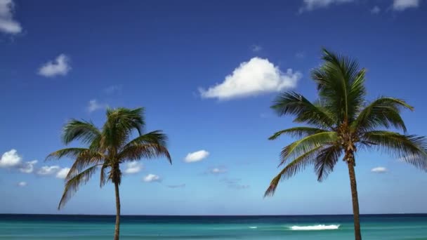 Movimiento Timelapse Cocoteros Balanceándose Nubes Pasando Sobre Playa — Vídeo de stock